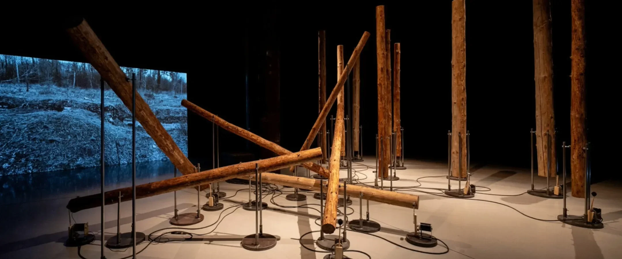 Marjolijn Dijkman installation
